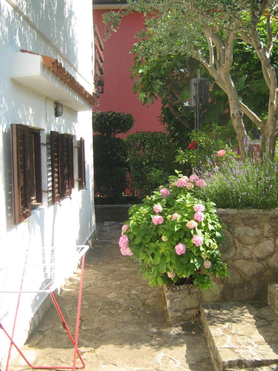 Villa Maria Novigrad Istria エクステリア 写真
