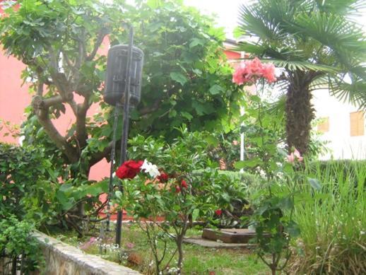 Villa Maria Novigrad Istria エクステリア 写真