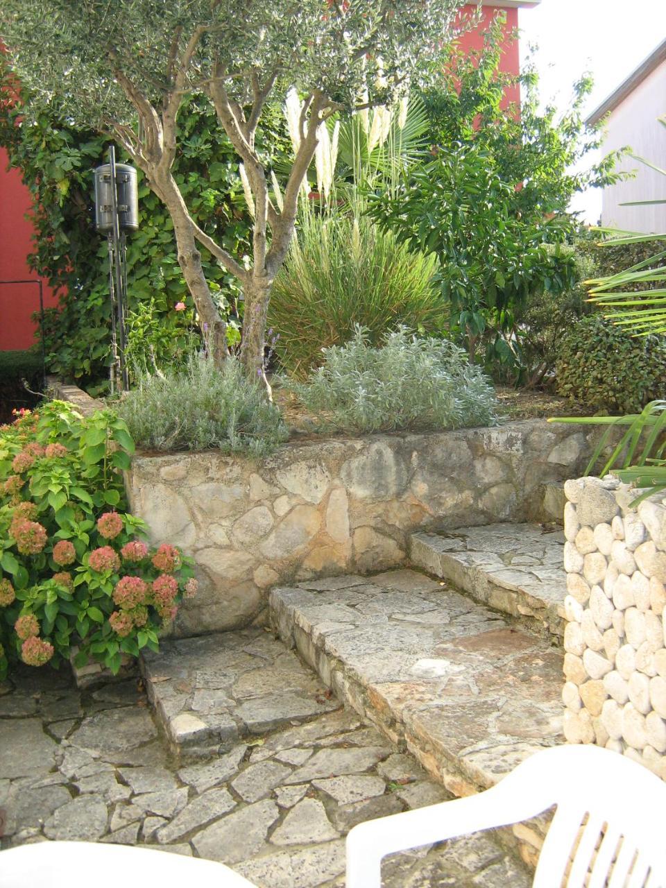 Villa Maria Novigrad Istria エクステリア 写真