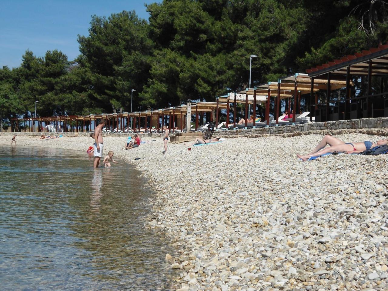 Villa Maria Novigrad Istria エクステリア 写真
