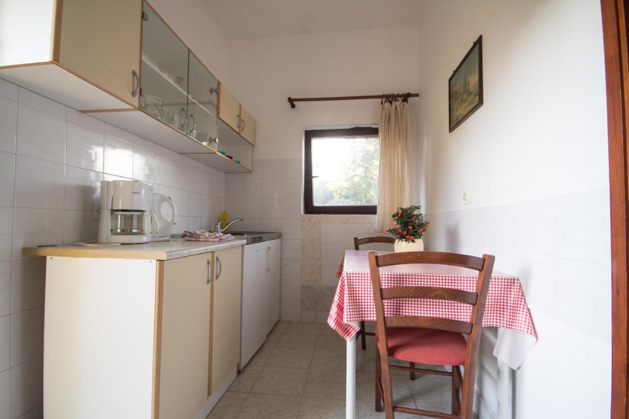 Villa Maria Novigrad Istria エクステリア 写真