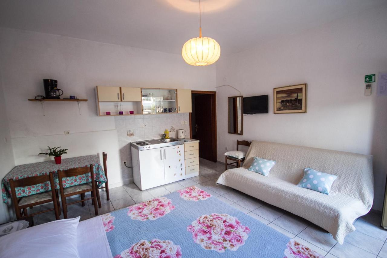 Villa Maria Novigrad Istria エクステリア 写真